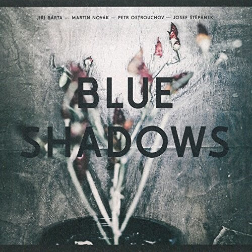

CD диск Barta / Harries / Novak: Blue Shadows