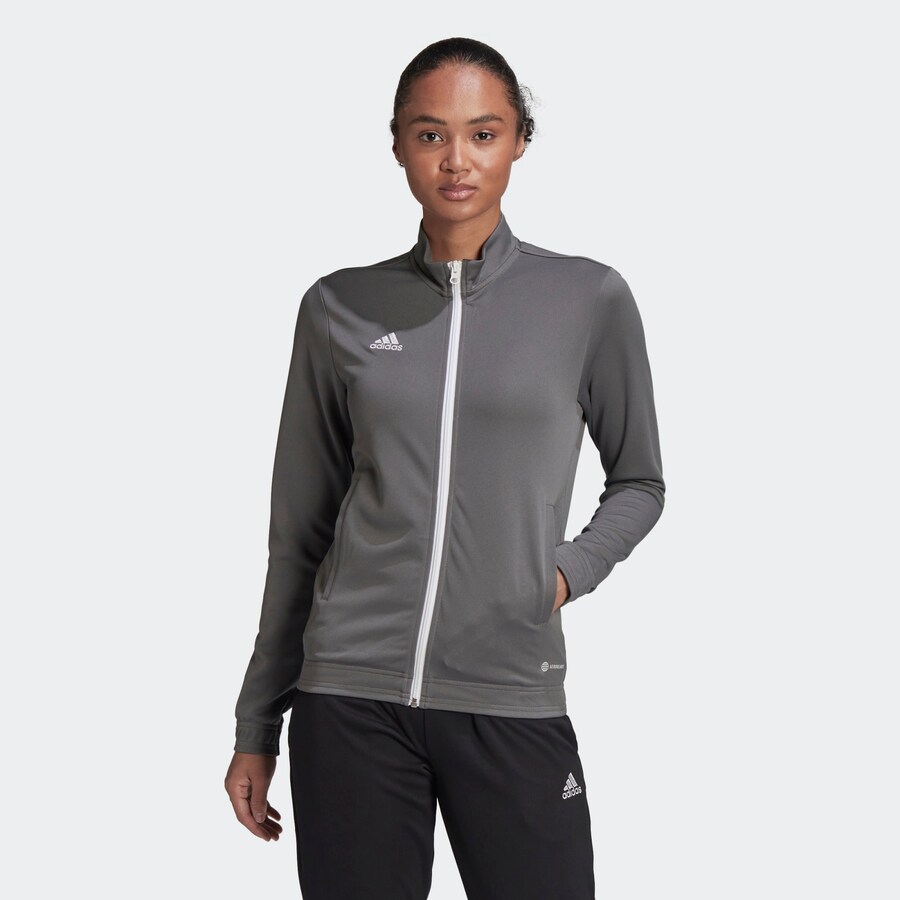 Спортивная толстовка с капюшоном на молнии ADIDAS PERFORMANCE Entrada 22, серый — фото 2