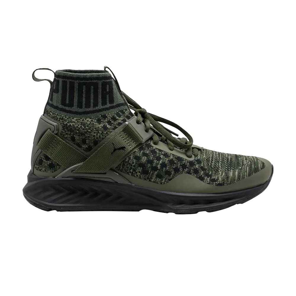 

Кроссовки Ignite 3 evoKnit Puma, зеленый
