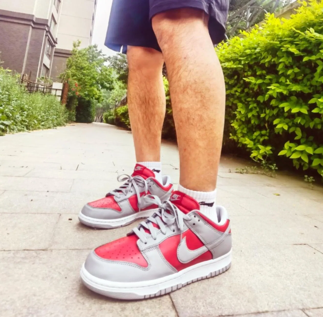 Кроссовки мужские Nike Dunk Low Retro, цвет Varsity Red Silver White — фото 2