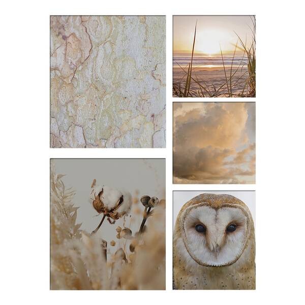 

Картина на холсте Art for the Home Set Natur 5-teilig, разноцветный