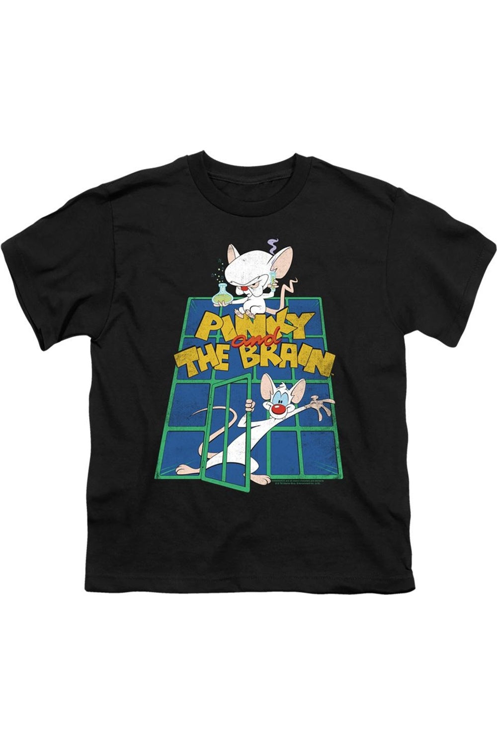 

Футболка Pinky And The Brain с коротким рукавом для детей Gildan