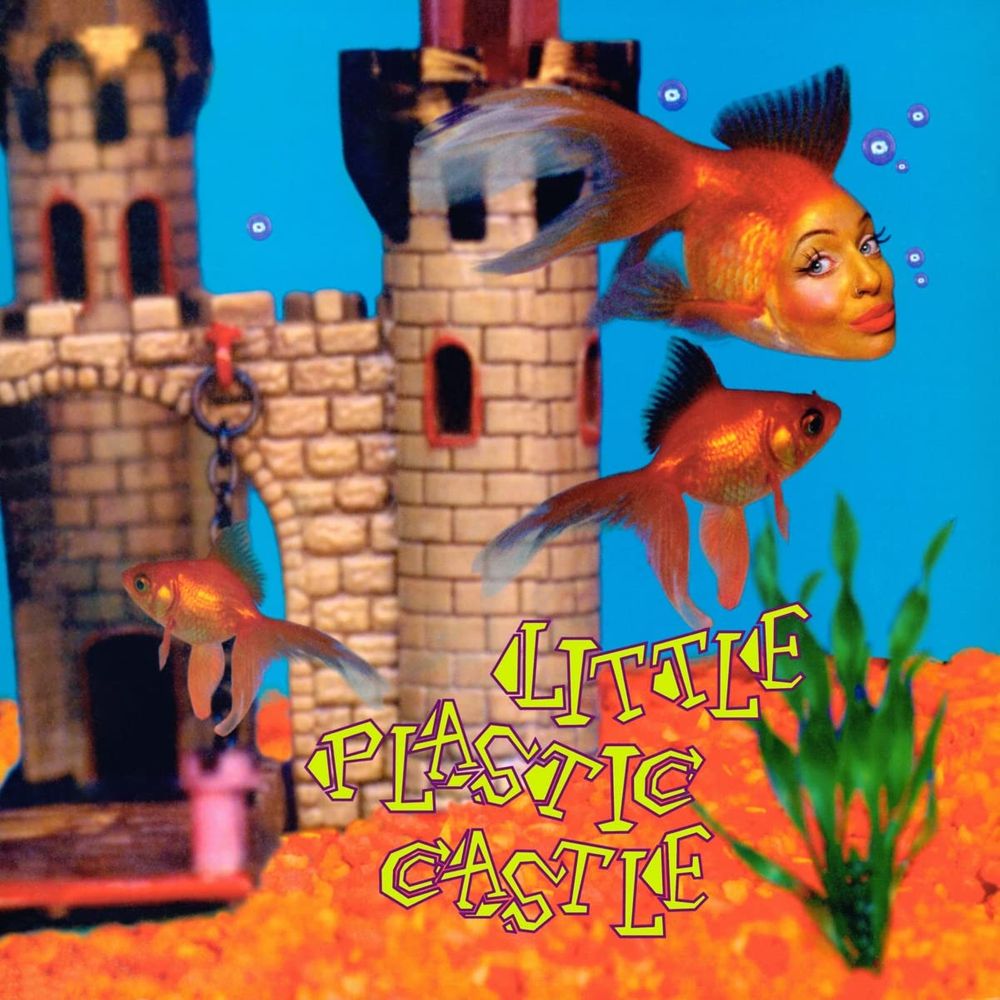 

Диск CD Little Plastic Castle [25th Anniversary Edition] - Ani DiFranco