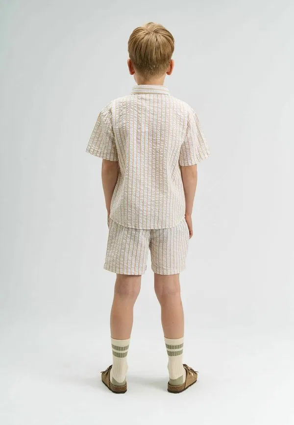 Шорты смита The New, Humus Striped — фото 2
