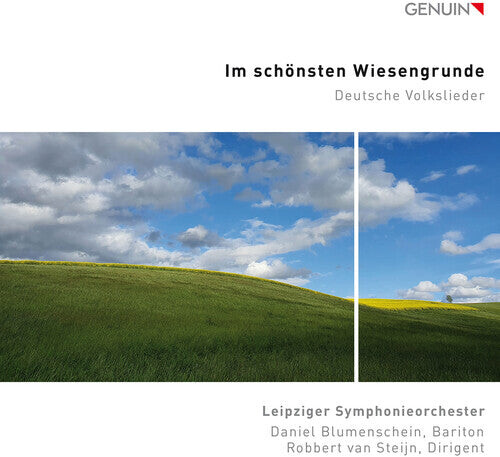 

CD диск Mendelssohn / Leipziger Symphonieorchester: Im Schonsten Wiesengrunde