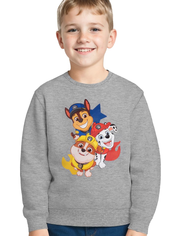 

Толстовка Paw Patrol, серый