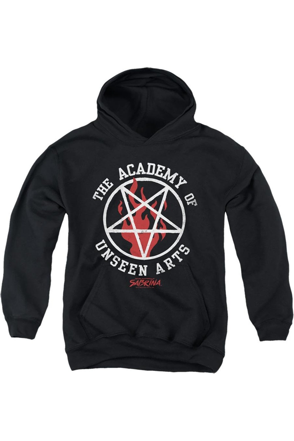 

Молодежная толстовка с капюшоном Chilling Adventures Of Sabrina Academy Of Unseen Arts Gildan, черный