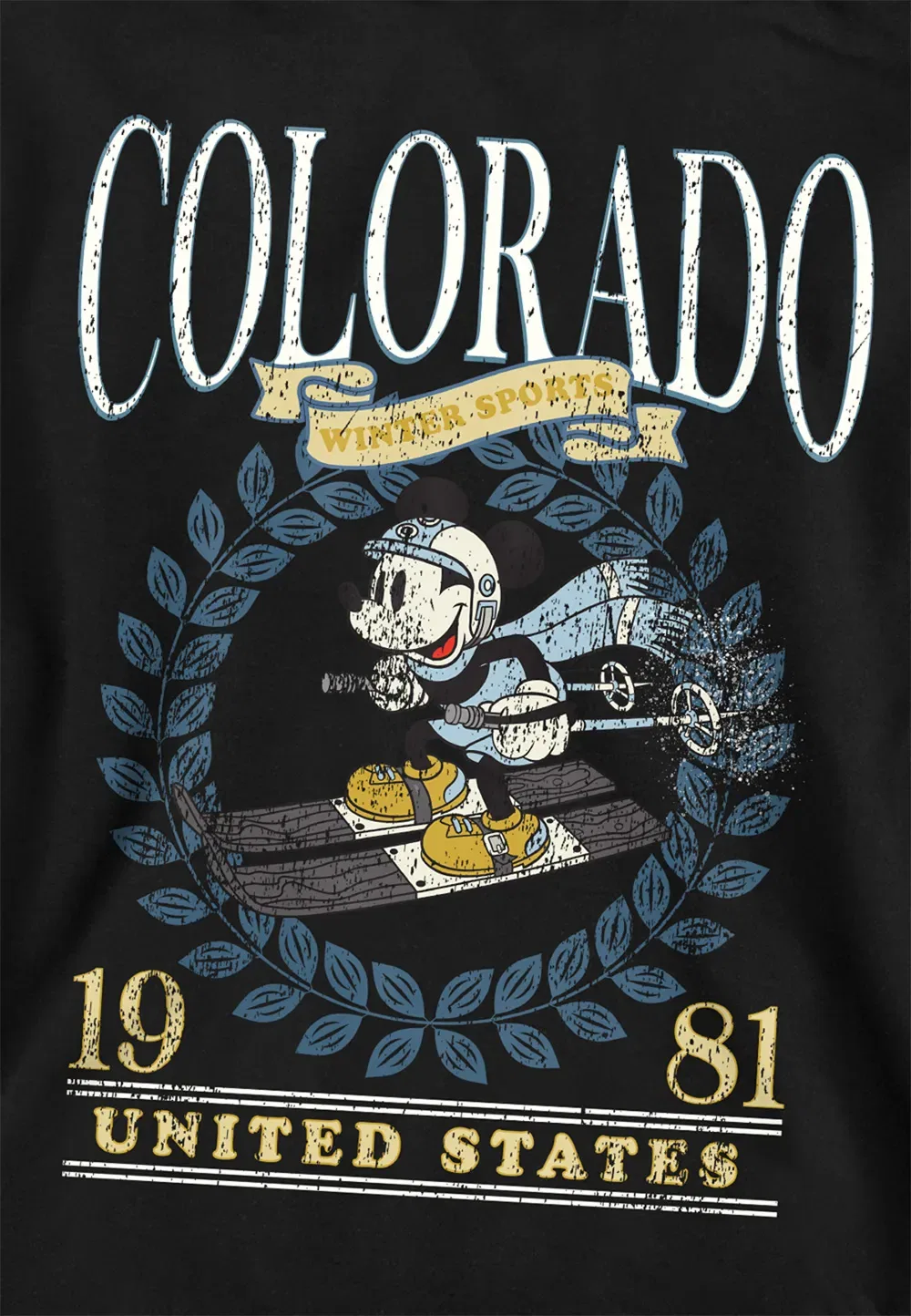 Детская толстовка Mickey Mouse Colorado Ski, черная, Disney, черный — фото 2