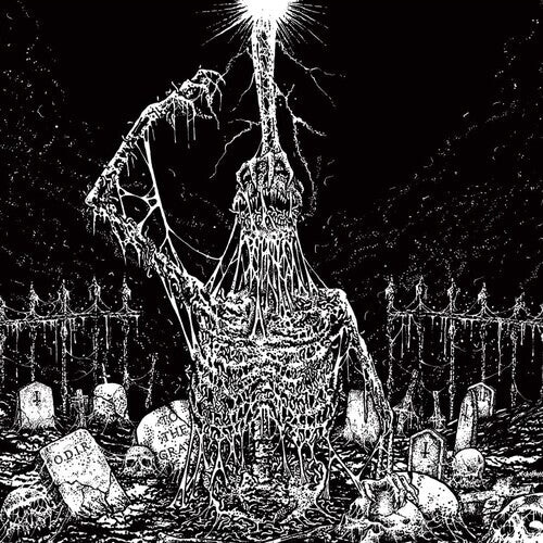 

CD диск Infesticide / in Obscurity Revealed: Split