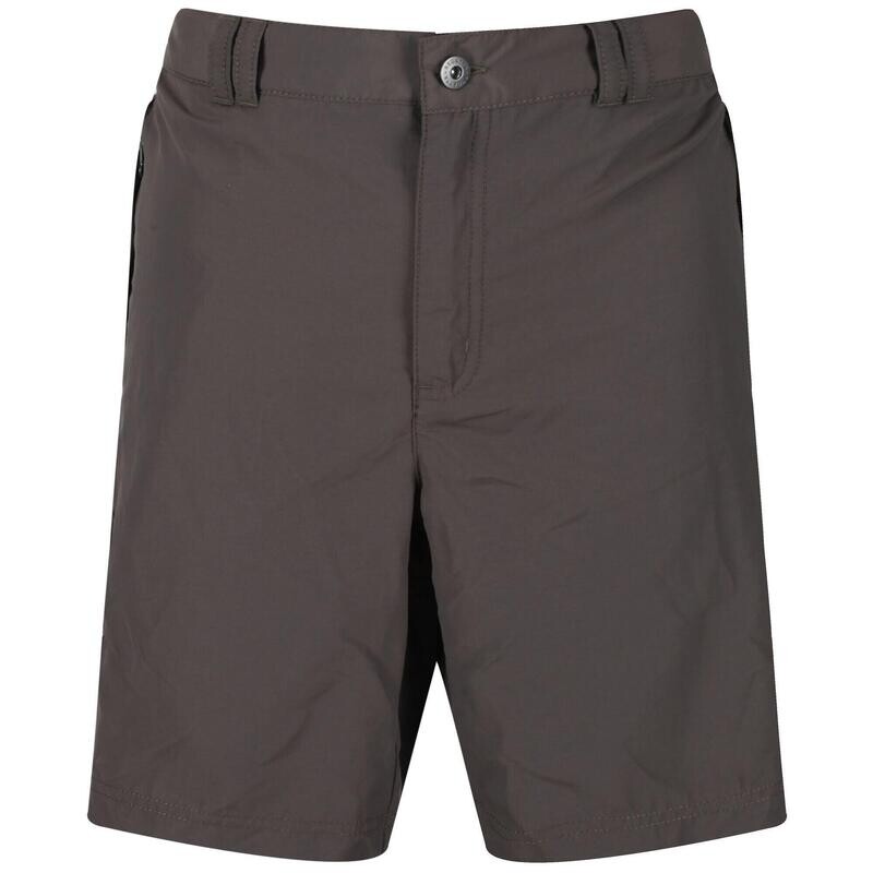 

Мужские шорты Regatta, цвет gris/brown