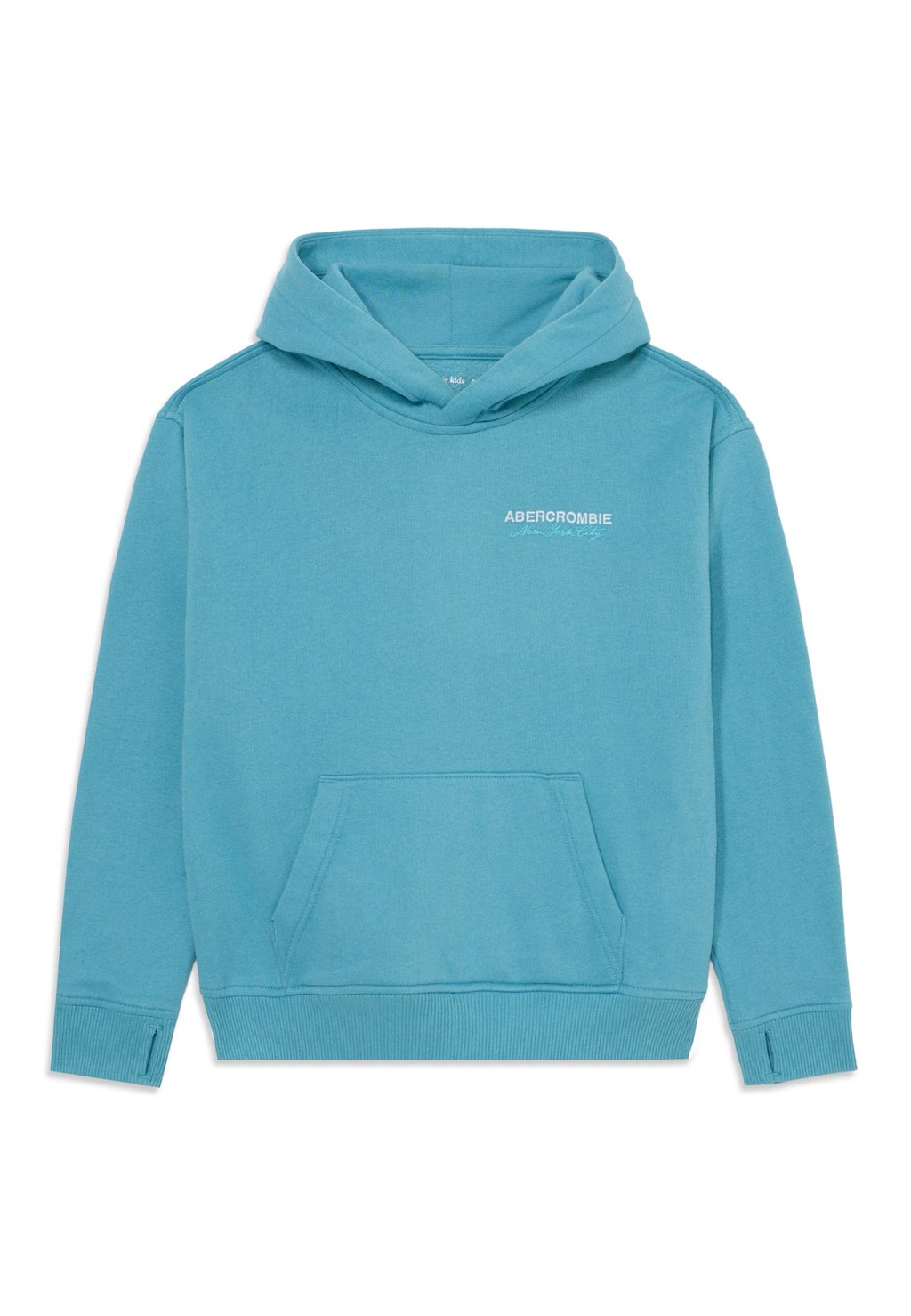 

Толстовка CLEAN LOGO con cappuccio Abercrombie & Fitch, цвет Teal