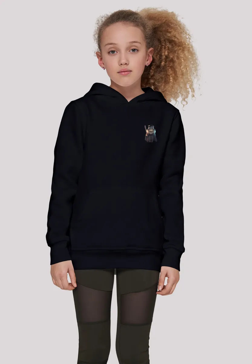 

Толстовка F4NT4STIC "Wizard Cat HOODIE UNISEX", принт, черный