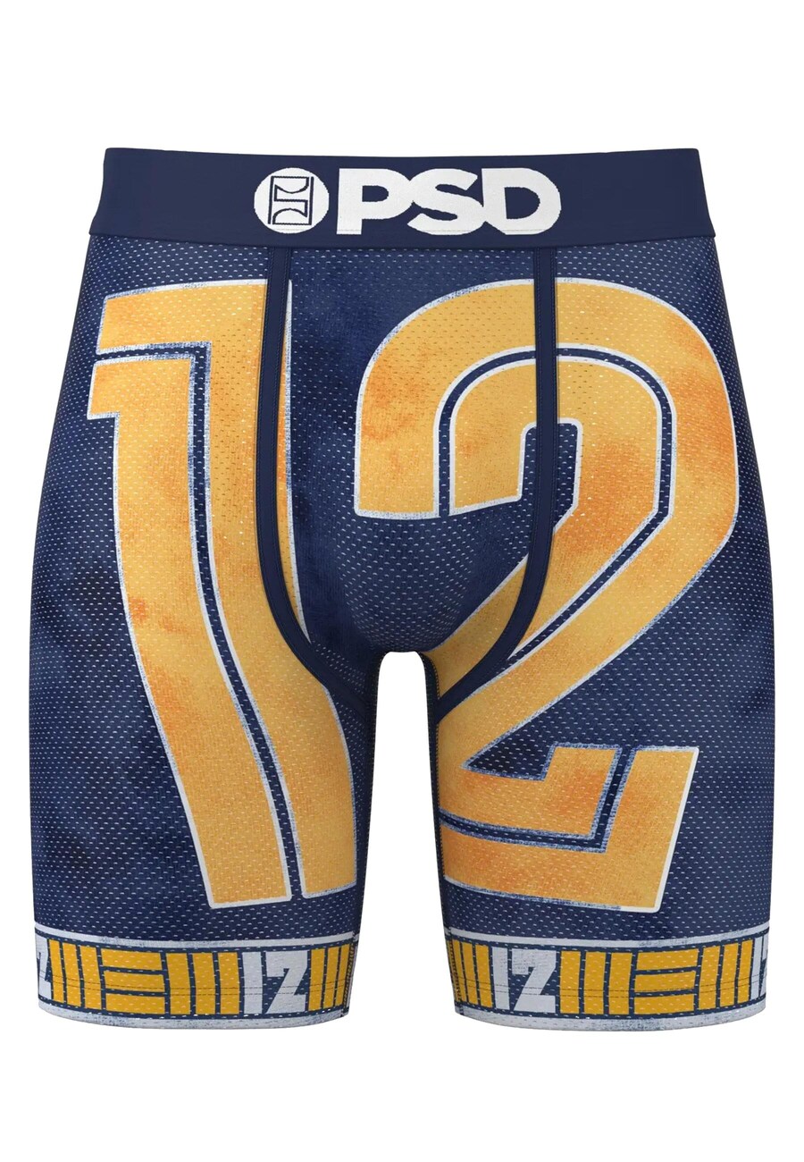 

Боксерские шорты PSD JA 12 STATE MM, разноцветный