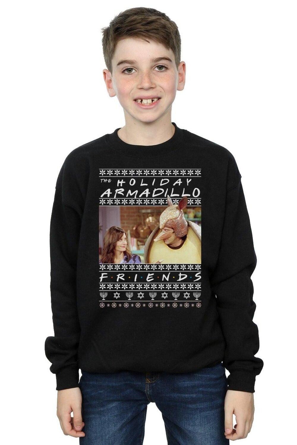

Толстовка Fair Isle Holiday Armadillo Friends, черный