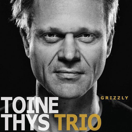 

CD диск Thys, Toine: Grizzly