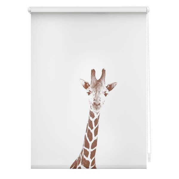 

Рулонные шторы Lichtblick Giraffe, 80x150x5 см, коричневый