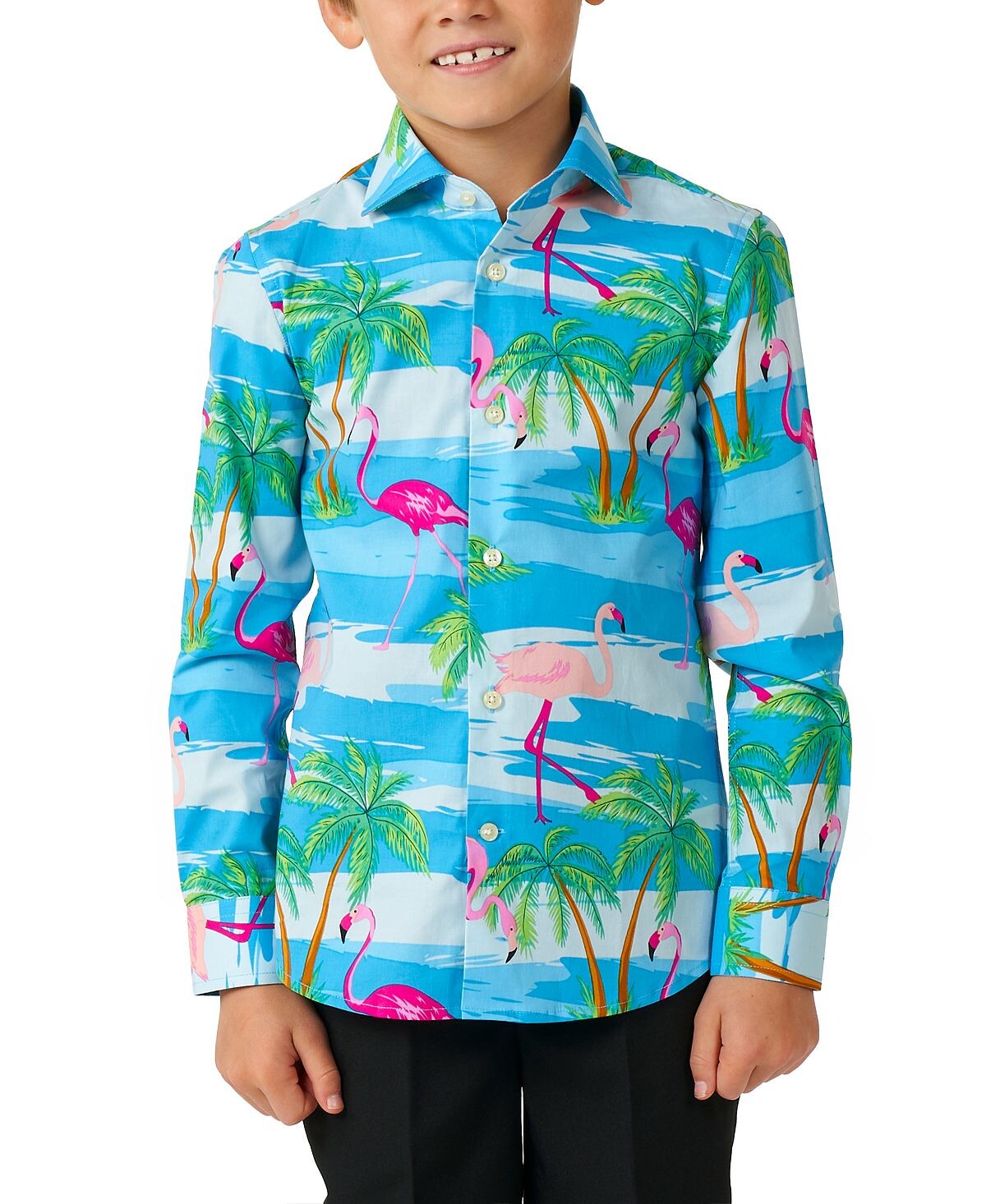 

Рубашка с тропическим фламинго Little Boys Flamingguy OppoSuits