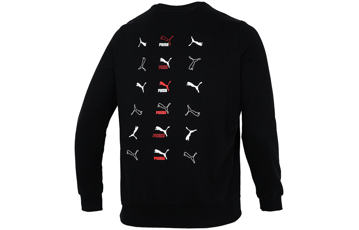 

Мужская толстовка Puma, цвет Black