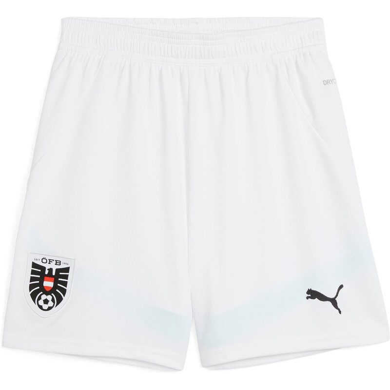 

Шорты oefb shorts replica jr Puma, белый