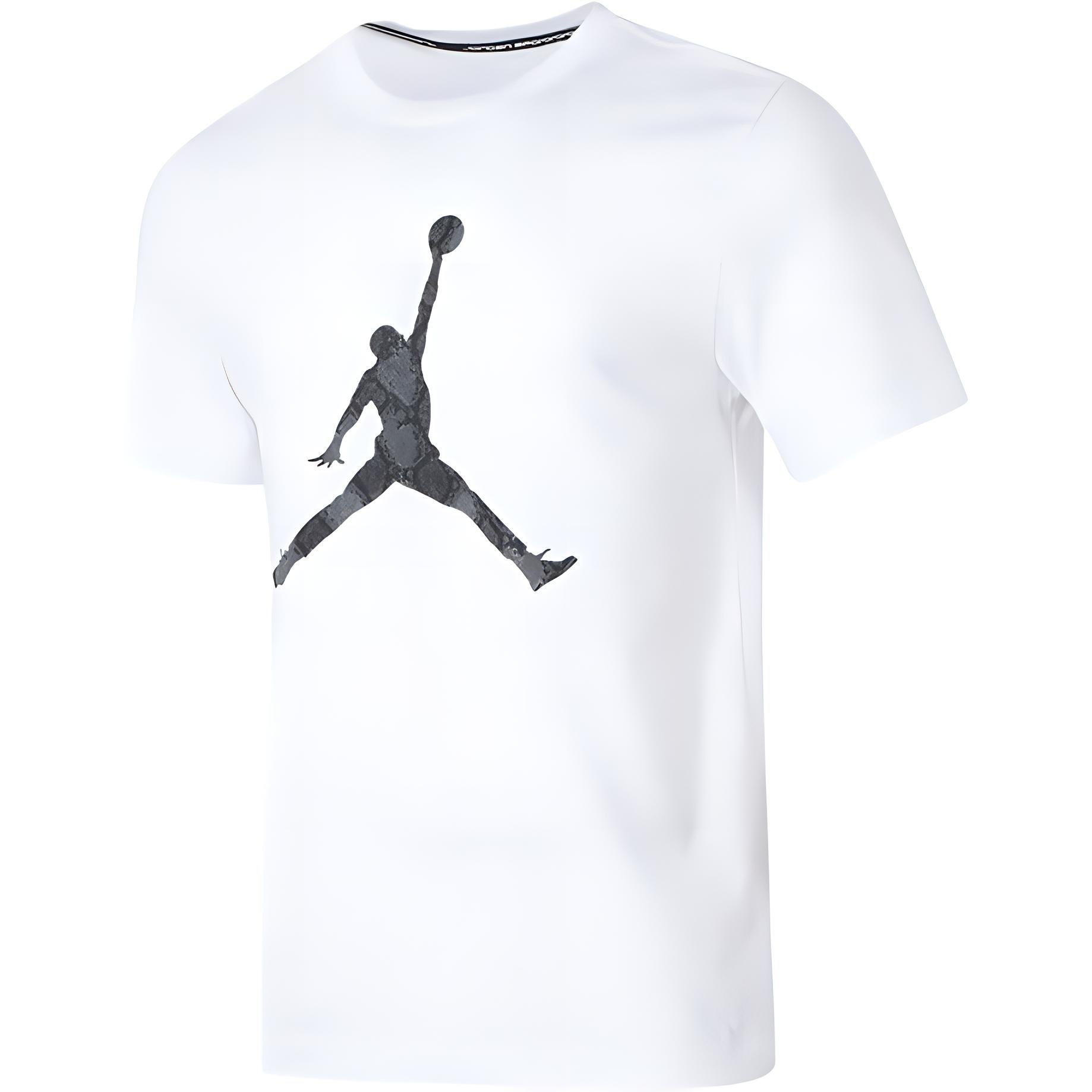 

Jordan Футболка Dri Fit мужская белая, Белый, Jordan Футболка Dri Fit мужская белая