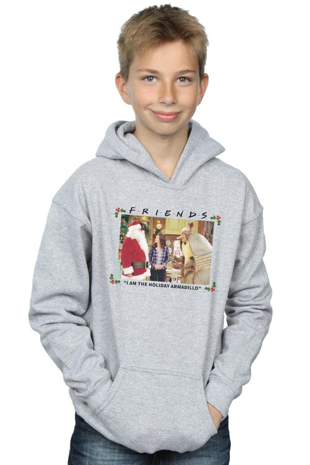 

Толстовка «I Am The Holiday Armadillo» Friends, серый