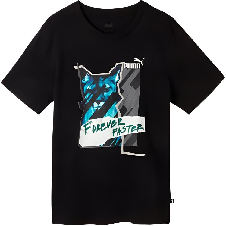 

Мужская футболка Puma, цвет Black