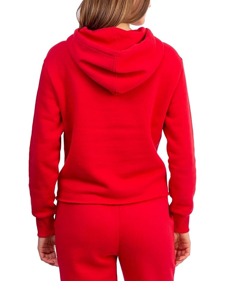 

Худи U.S. POLO ASSN. USPA Graphic Logo Pullover Hoodie, цвет Engine Red