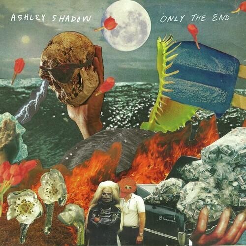 

Виниловая пластинка Shadow, Ashley - Only The End (Blue & Orange Swirl Vinyl)