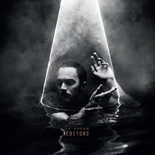 

CD диск Editors: In Dream