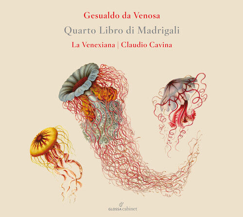 

CD диск Gesualdo / La Venexiana: Quarto Libro Di Madrigali