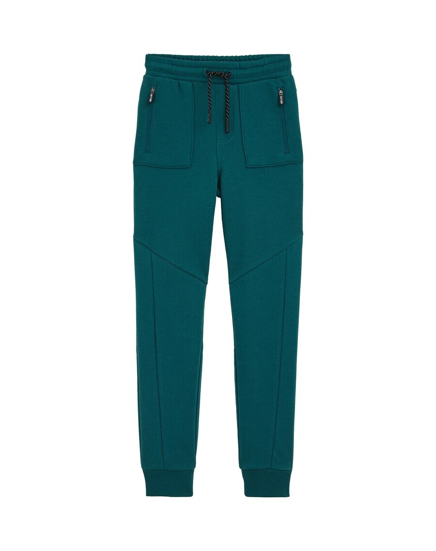 

Брюки WE Fashion Regular Pants, темно-зеленый