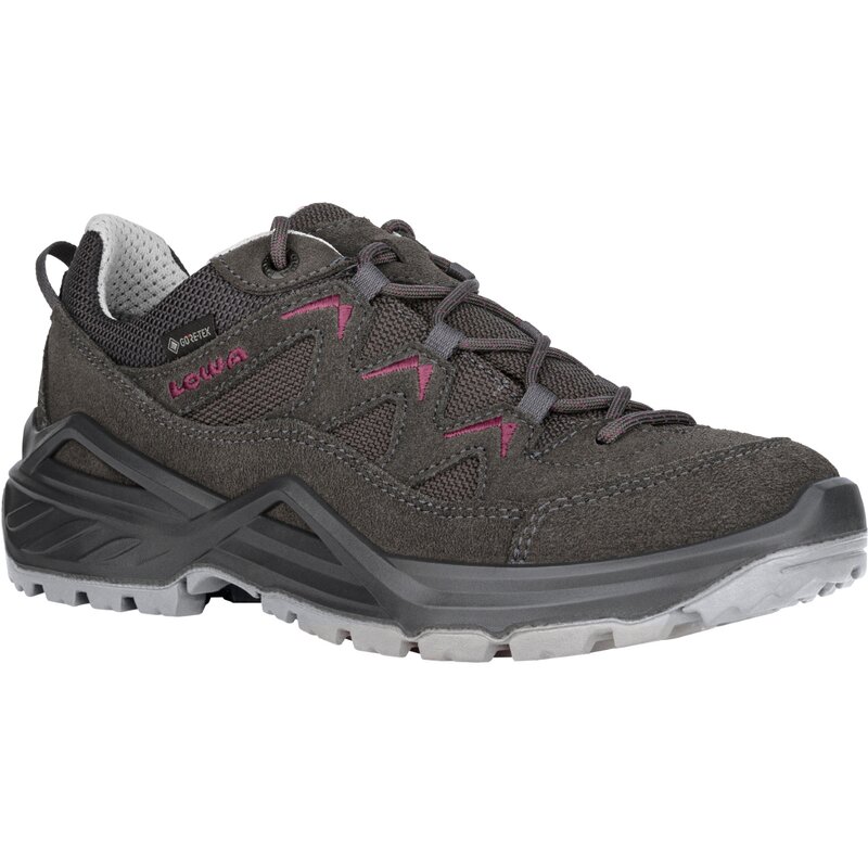 Многофункциональные туфли sirkos evo gtx low ws Lowa, мультиколор — фото 4