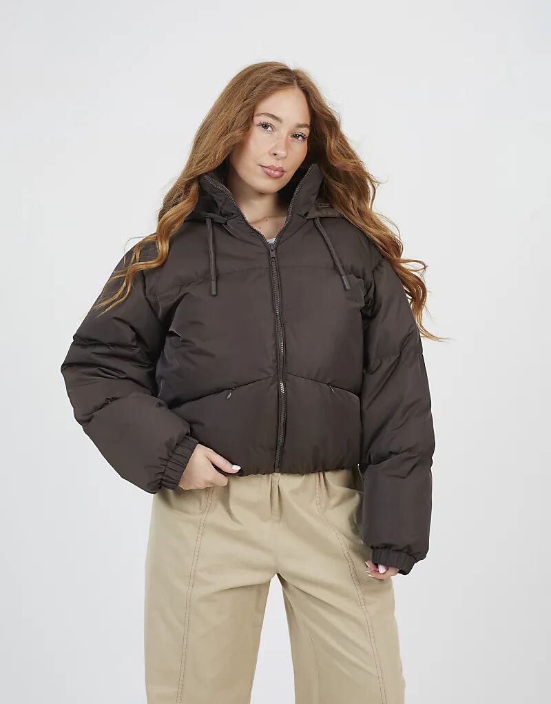 

Короткая стеганая куртка Brave Soul большого размера с капюшоном шоколадного цвета