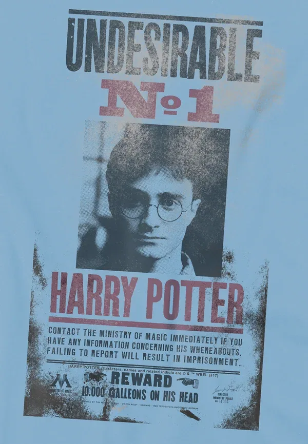 Футболка Cotton Soul Harry Potter Undesirable No1 Distressed Print, светло-голубой — фото 3
