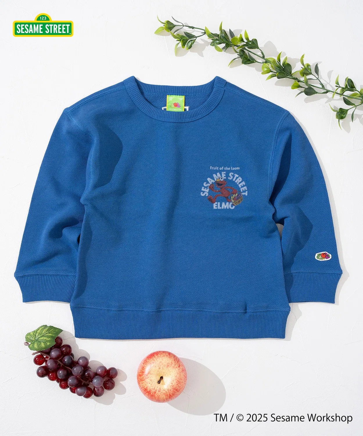 Свитшот детский Fruit of the Loom с принтом Elmo, синий