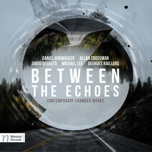

CD диск Burwasser / Arcadian Winds / Eusebius Duo: Between the Echoes