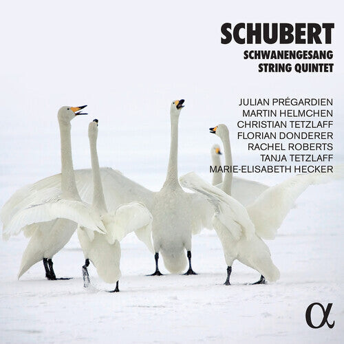 

CD диск Schubert: Works