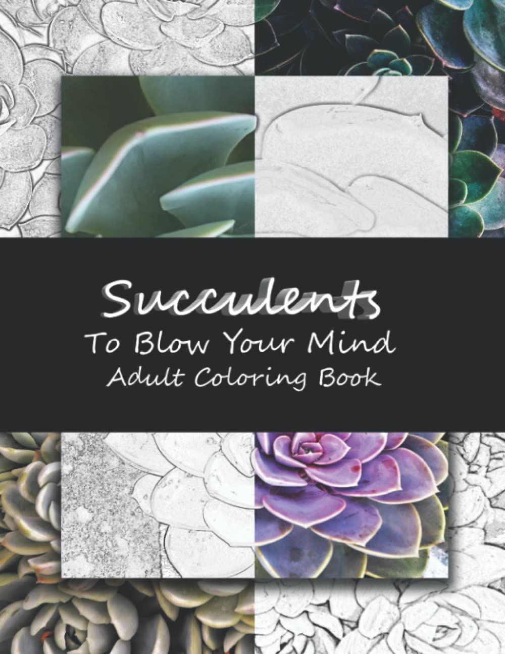 

Succulents To Blow Your Mind: Adult Coloring Book