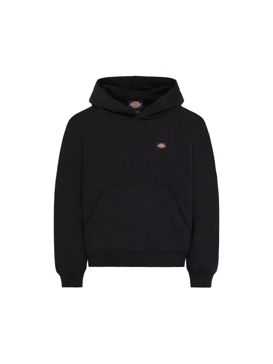 

Толстовка Dickies OAKPORT, черный