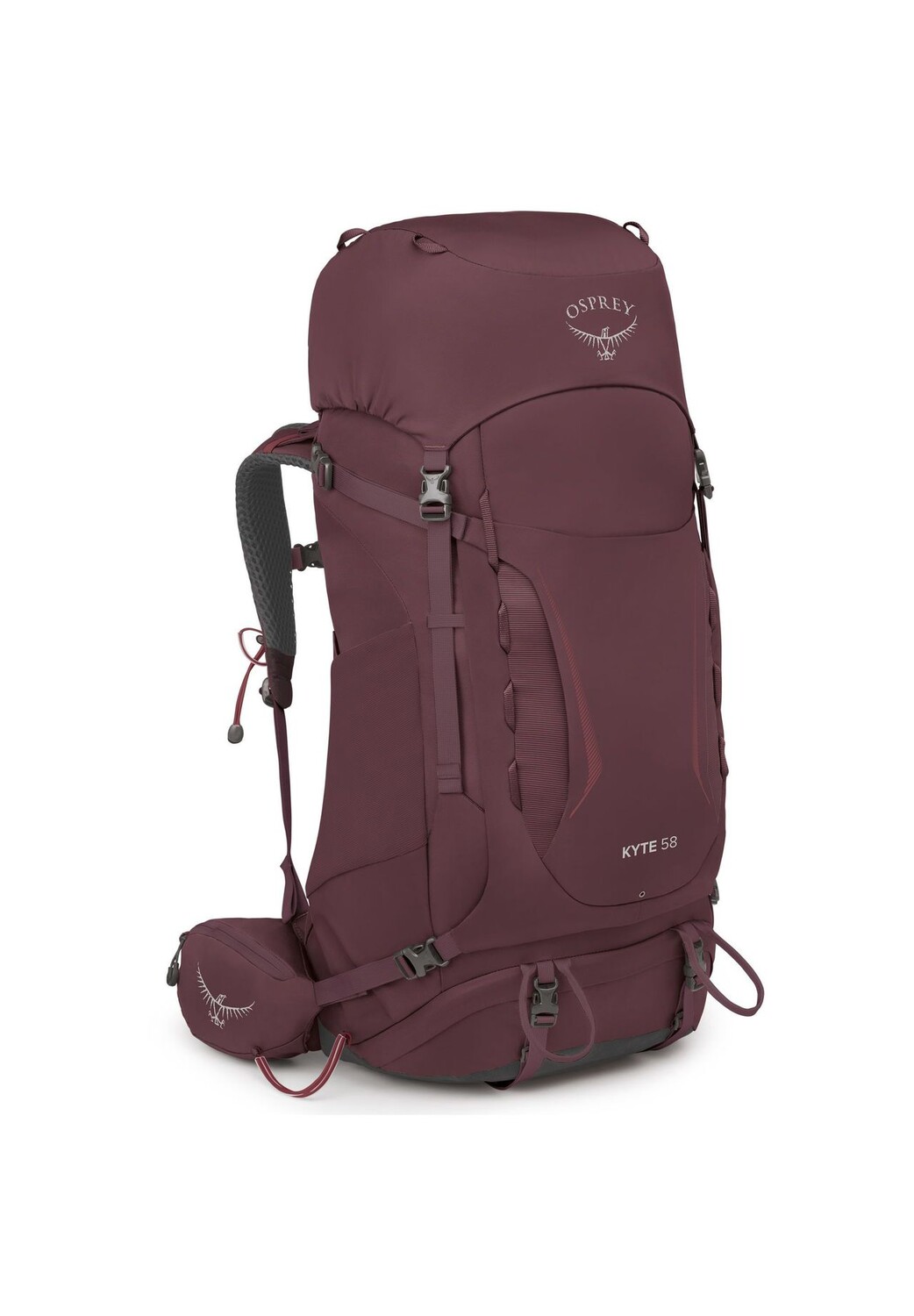 

Рюкзак Kyte 58 WXS-S 75 см OSPREY, цвет Elderberry Purple
