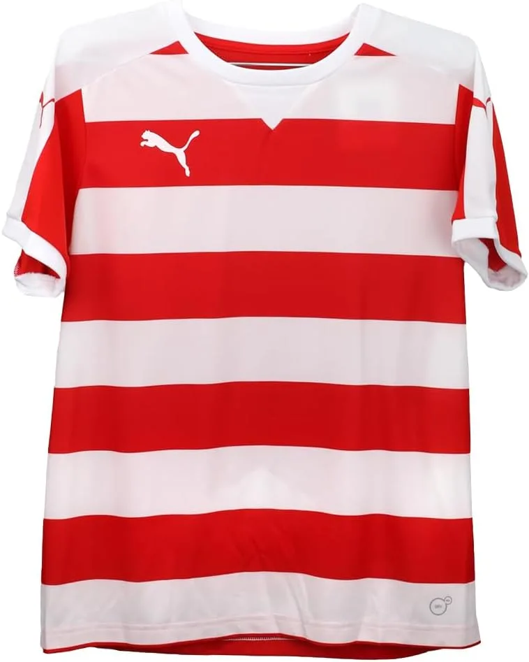 

Футболка Puma Men's Hoop