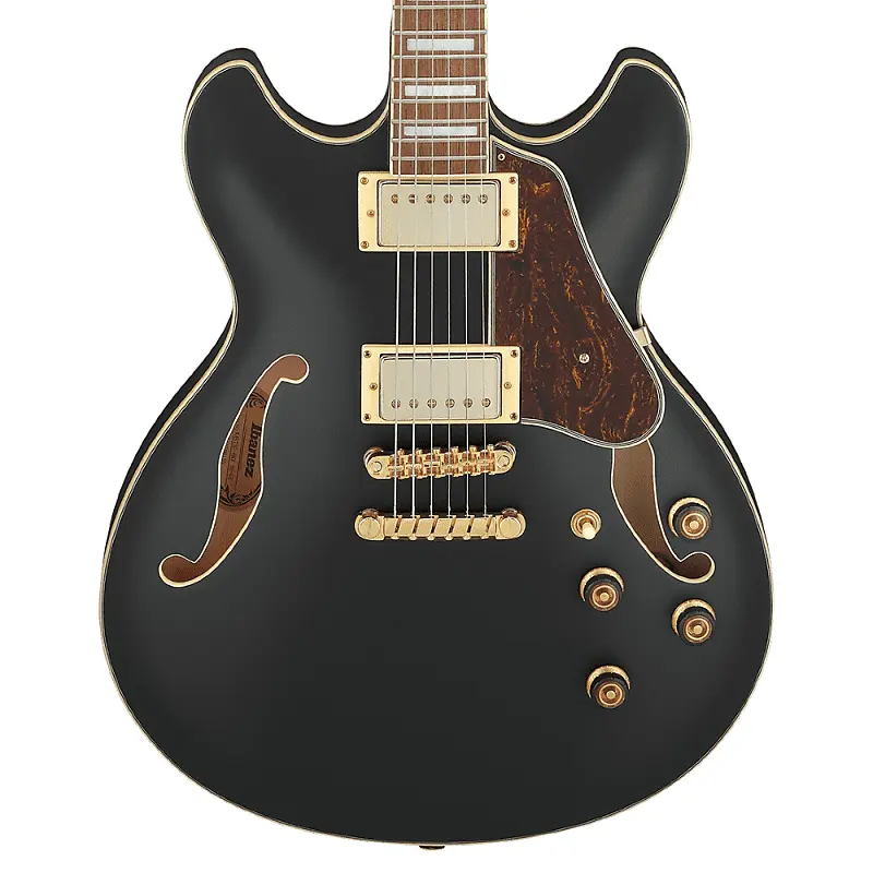 

Электрогитара Ibanez AS73GBKF AS Artcore Series 6-String RH Semi-Hollowbody Electric Guitar - Black Flat