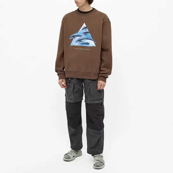 Толстовка Nike ACG Whale Crew Sweat 'Ironstone Smoke Grey', цвет tan/multi-color — фото 2