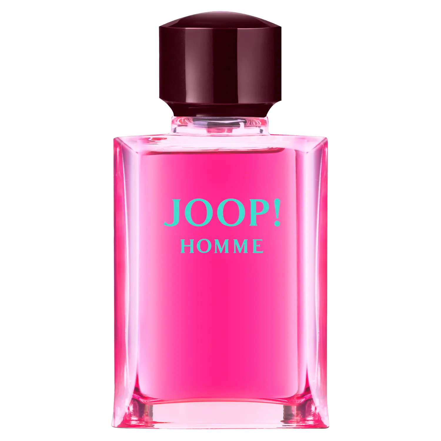 

Мужская туалетная вода Joop! Homme, 125 мл