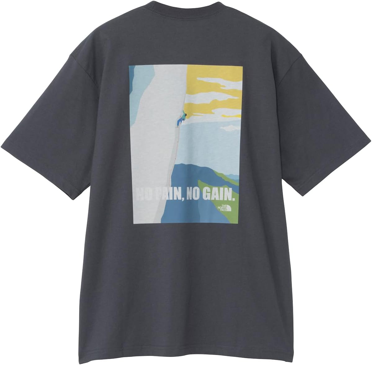 

Футболка с коротким рукавом THE NORTH FACE, Climbers' Insight Tee, размер S/S, унисекс (для взрослых), NT82510, графитово-серый