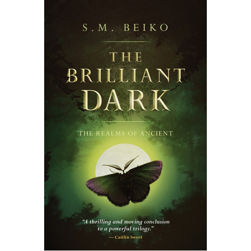 

Книга The Brilliant Dark