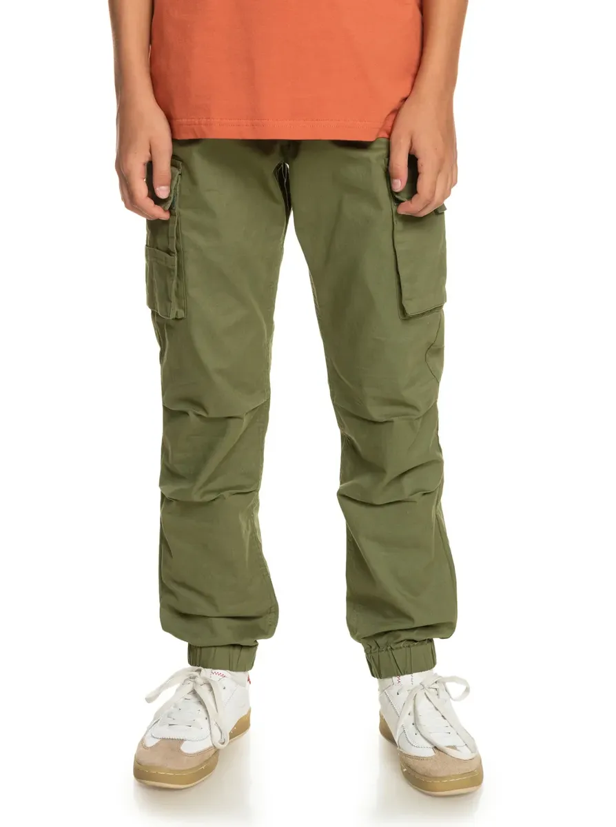 

Брюки без застежки Quiksilver "Upcargo To Surf", цвет Four Leaf Clover