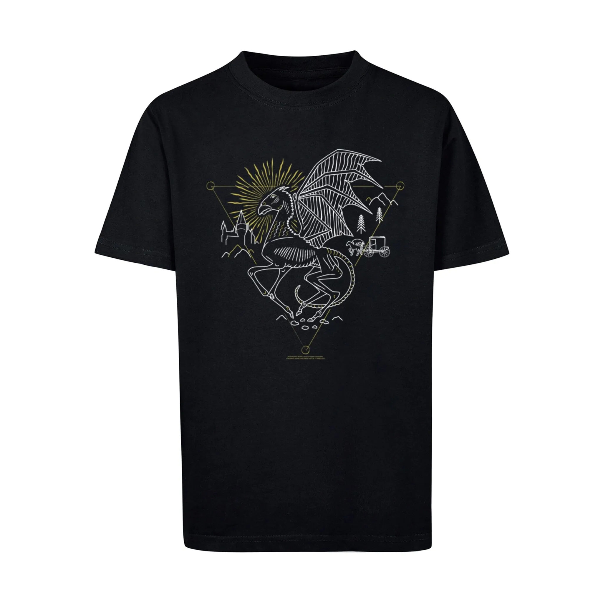 

Футболка ABSOLUTE CULT «Мужская футболка ABSOLUTE CULT Harry Potter - Thestral Kids Basic», черный