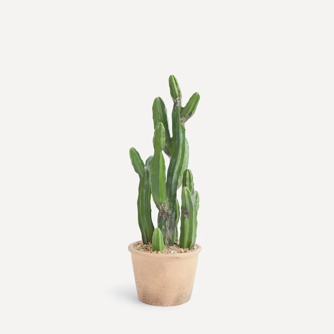 

Искусственное растение Smooth Cactus El Corte Inglés, зеленый