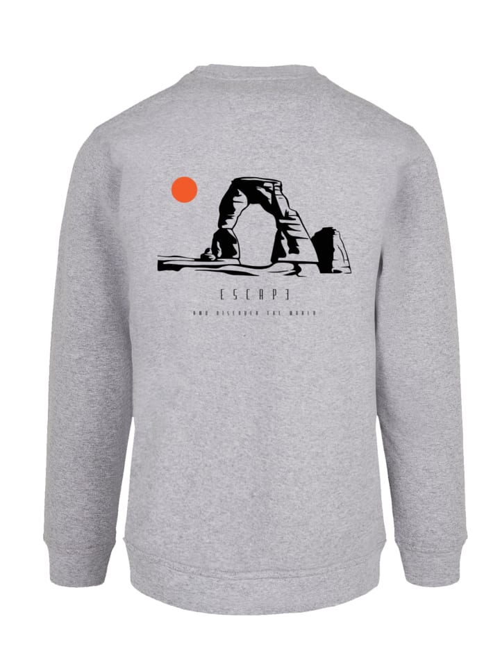 

Толстовка F4NT4STIC, пятнистый серый